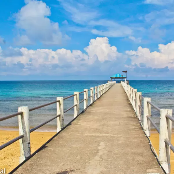 Ön Tioman
